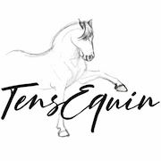TensEquin